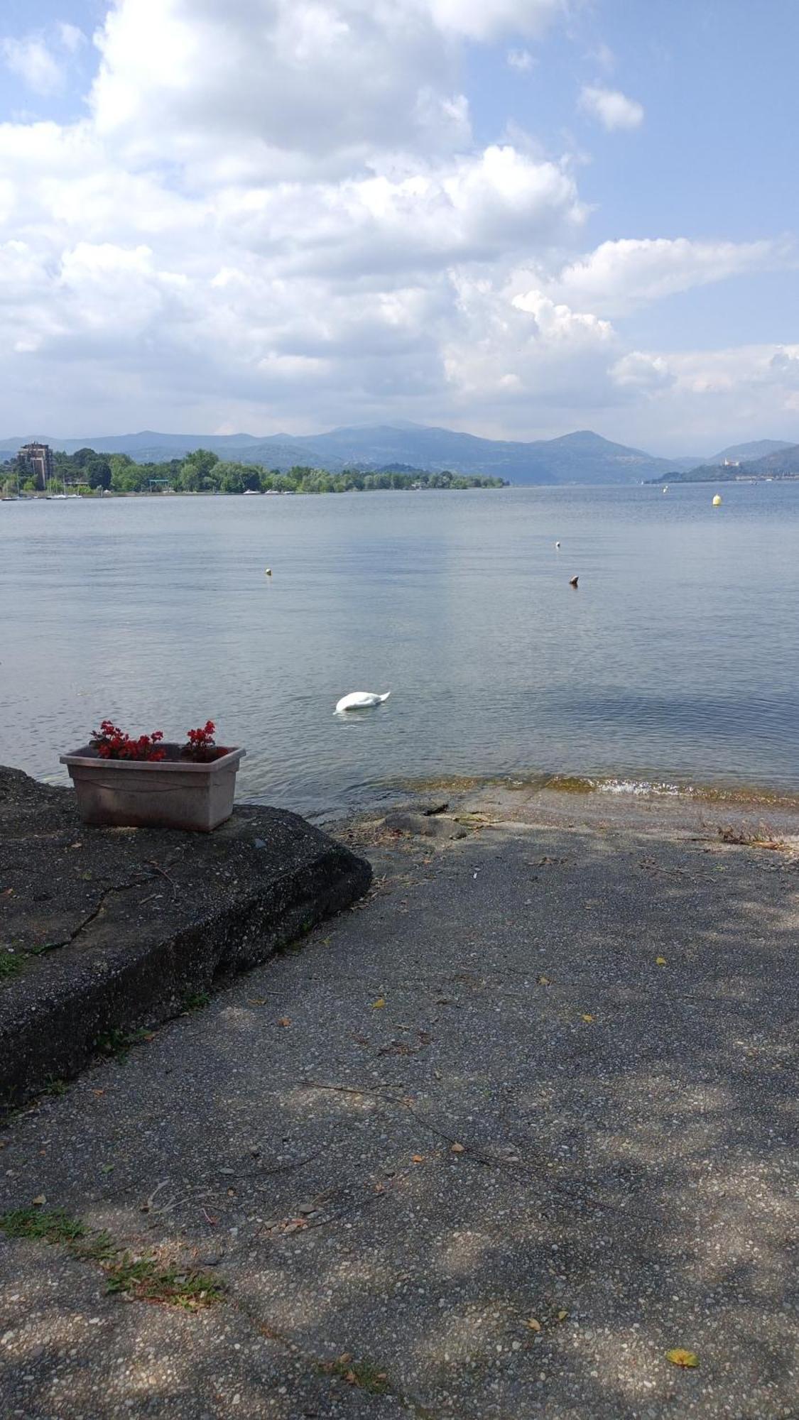 House Benedetta & Gloria On The Lake Castelletto sopra Ticino Ngoại thất bức ảnh